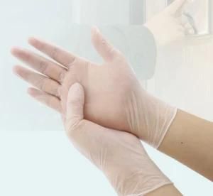 Wholesale Cheap Vinyl Disposable Household Protection Powder Free PVC Nitrile Gloves