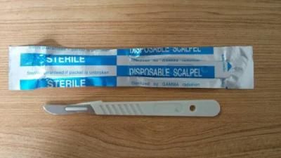Disposable Surgical Blade/Surgical Blade/Surgical Blade with Plastic Handle