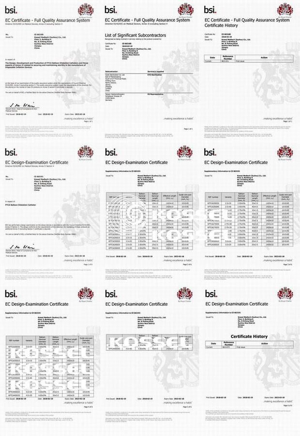 CE Approval Flexible Nc Ptca Balloon Catheter Dilatation Catheter Interventional Cardiology