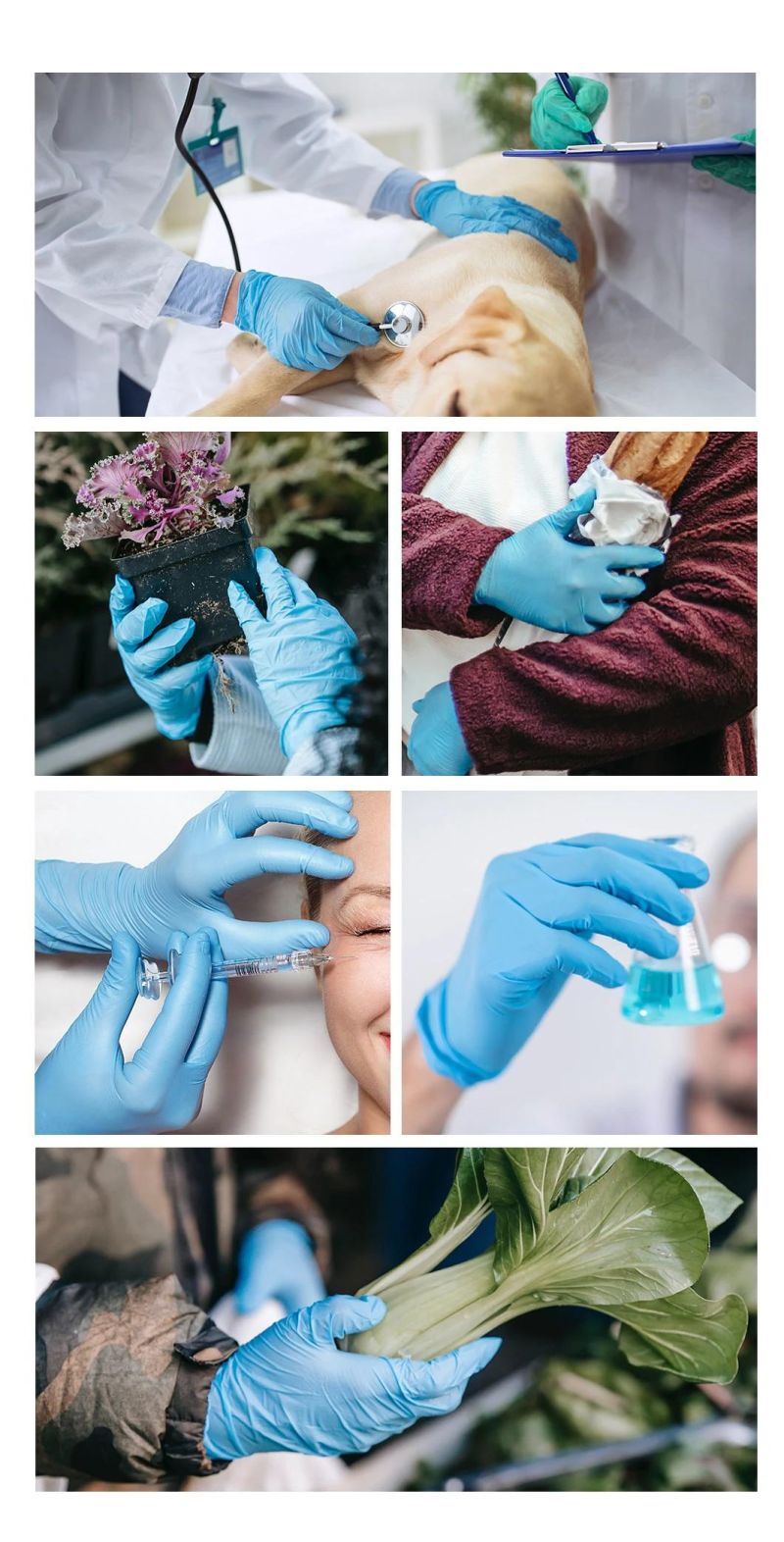 Blue Protective Powder Free Disposable Civil Nitrile Gloves