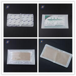 Disposable Medical Wound Dressing with ISO and Ce