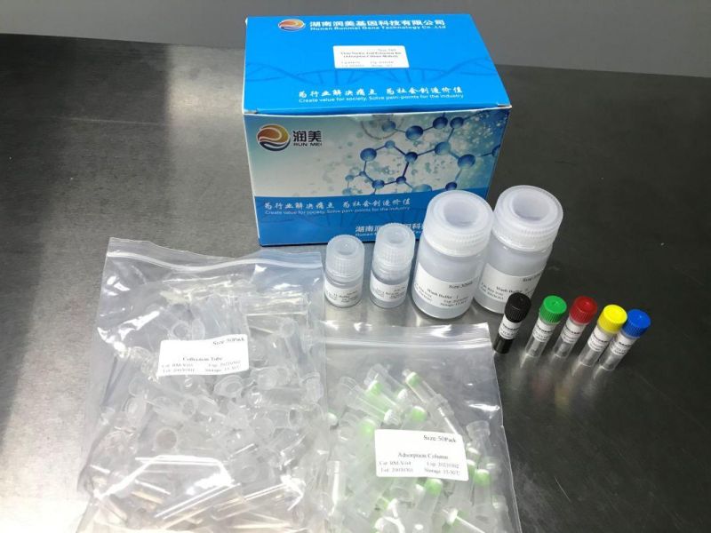 Pre-Packed Kit for Double Nucleic Acid Detection of Bacillus Sp E11