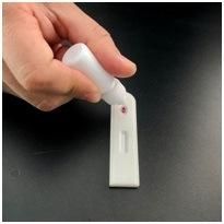 Igm/Igg Antibody Rapid Test Kit, Igm Gg Antibodycassette