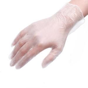 PVC Gloves 100 PCS/Box Disposable Examination Vinyl Powder Free PVC Gloves Disposable Transparent