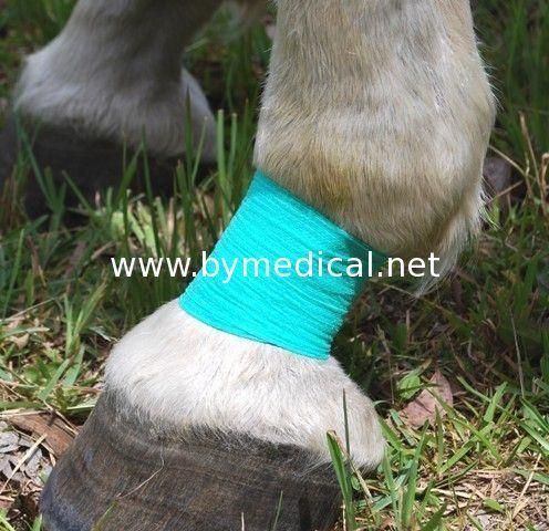 Non Woven Cohesive Equine Bandage for Hoof Wrap