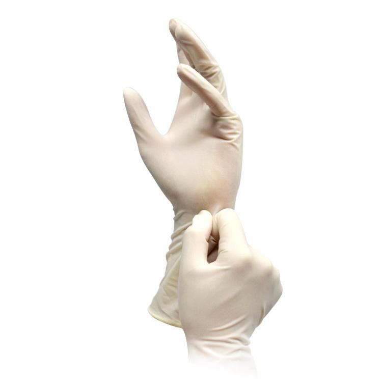 Sterile Latex Surgical Gloves Powdered Disposable for Medical Hospital