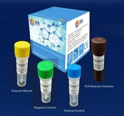 Salmonella Nucleic Acid Detection Pre-Packed Kit (fluorescence PCR method)