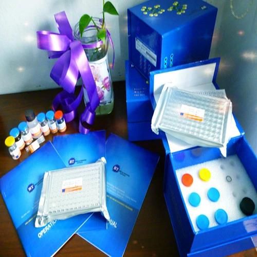 Ck MB Elisa Kits/Elisa Test Kits/Research Elisa Test Kits