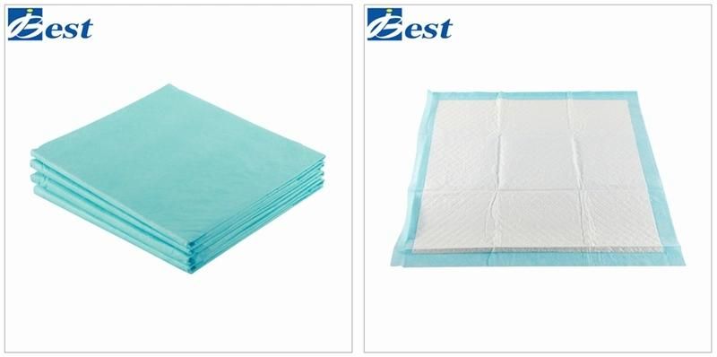 OEM Manufacturer Pets Training Disposable Pad Customized