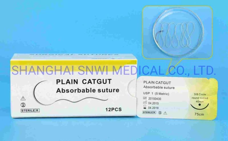 Disposable Medical Supply Absorbent Surgical Suture Plain Catgut with Needle for Hospital Use