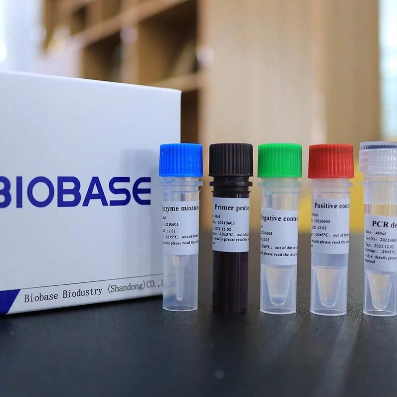 Biobase 96 Well PCR Reagents Real Time PCR Kits