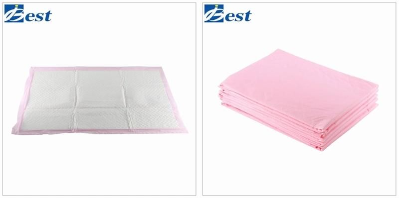 OEM Manufacturer Pets Training Disposable Pad Customized