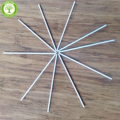 Cotton Swabs Paper Stick Medical Cotton Swab Stick Swab Sticks