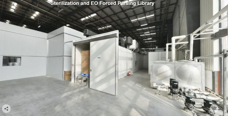 Produce and Supply Butterfly or Pen Type Infusion Needle Safety Type with CE ISO FDA