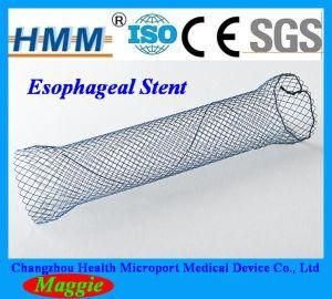 Esophagus Supporting Stent