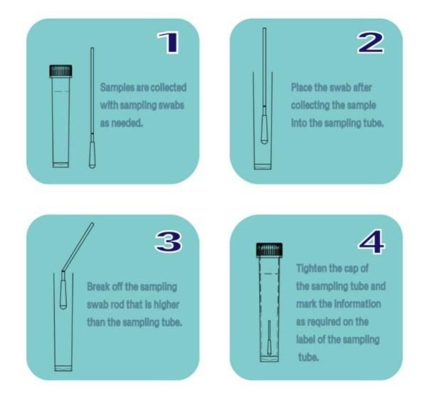 Disposable Virus Sampling Tube