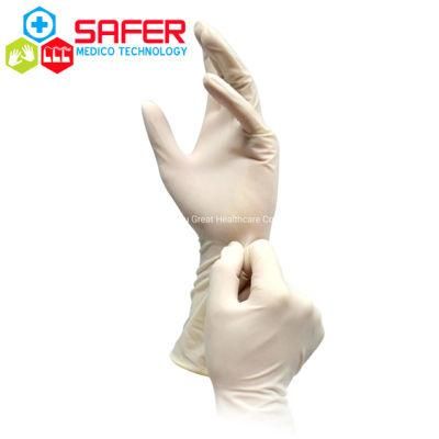 Gloves Surgical