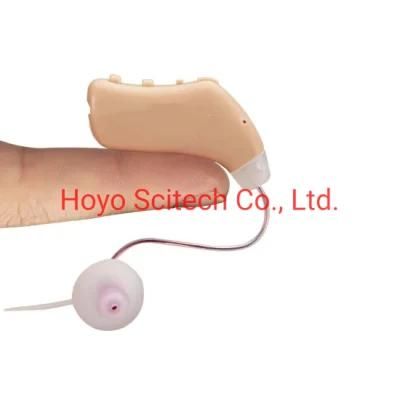 China Digital Hearing Aid Rechargeable Digital Hearing Aid in-Ear Digital Hearing Aid