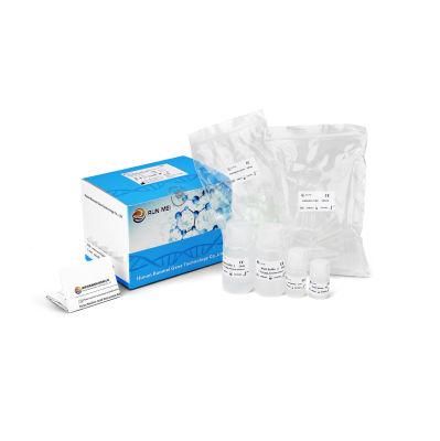 High Quality Magnetic Beads Virus DNA Nucleic Acid Extraction or Purification Kit