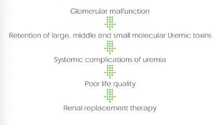 Hemoperfusion Cartridge (ESRD)