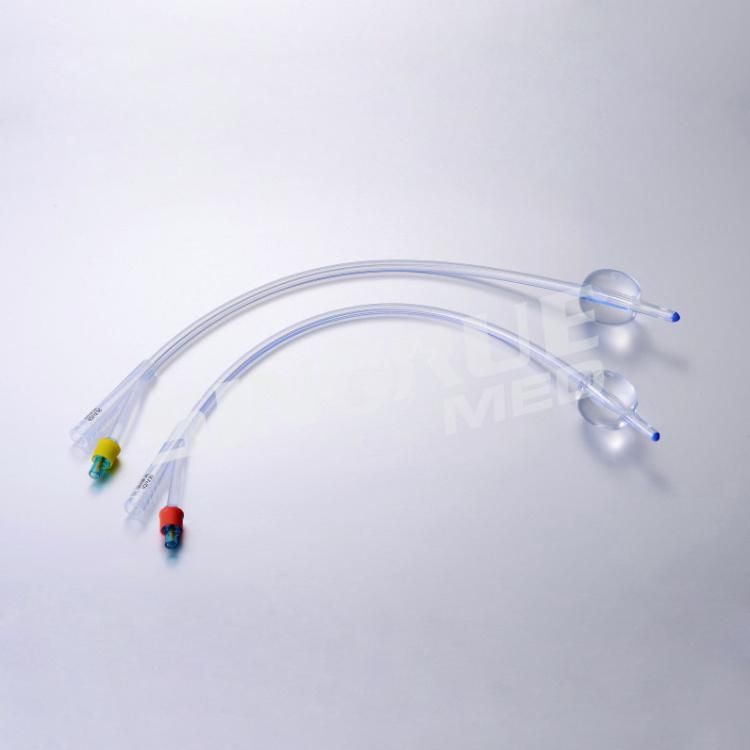 Hospital 6fr-26fr Disposable Medical 2-Way All Silicone Foley Catheter