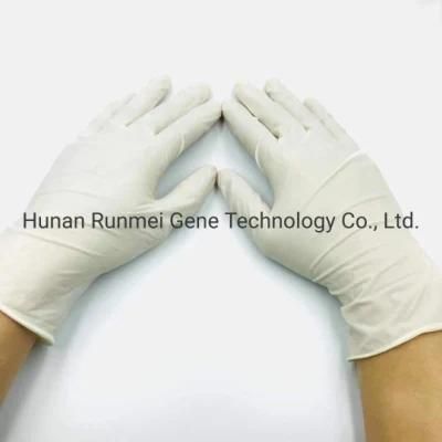 Single-Use Medical Rubber Examination Gloves