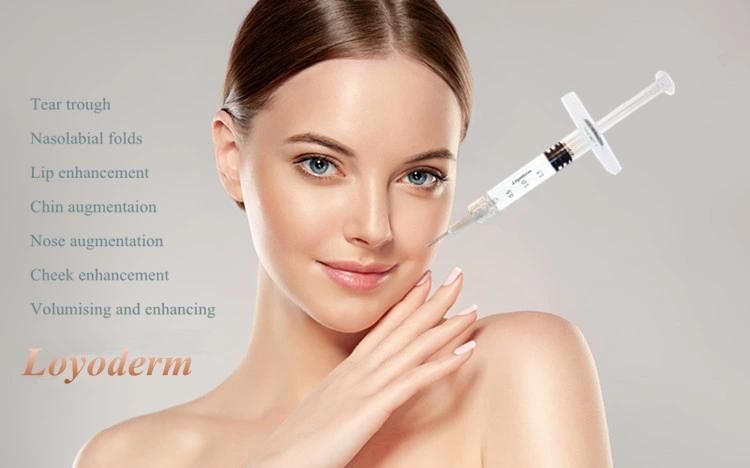 CE Cross-Linked Injectable Dermal Lip Filler 2ml Sodium Hyaluronate Gel Hyaluronic Acid Injection