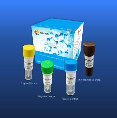 Pre-Packed Kit for Nucleic Acid Detection of Group a Streptococcus (Fluorescence PCR method)