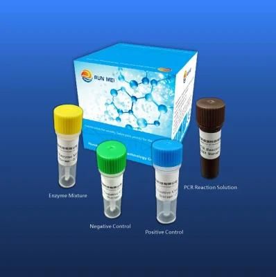 Pre-Packed Kit for Detection of Streptococcus Pneumoniae Nucleic Acid (fluorescence PCR method)