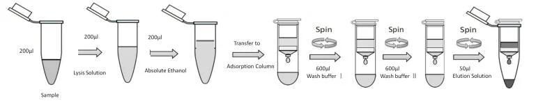 Virus Nucleic Acid Extraction Kit, Nucleic Acid Detection Kit (Adsorption Column Method)