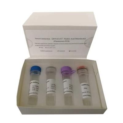 Fluorescence PCR Nucleic Acid Detection Kit