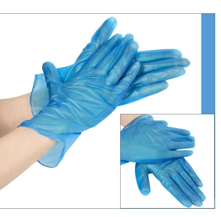 Disposable Blue Vinyl Gloves Power Free Medical Gloves Household Gloves