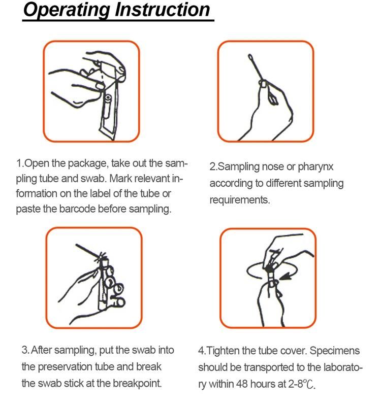 Medical Disposable Vtm Test Kit with Sterile Nylon Flocked Nasopharyngeal Swab