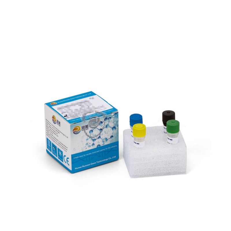 Hot Selling Medcial Products PCR Kit Real Time, Realtime PCR Test, Hot Sales CE Virus PCR Test Kits