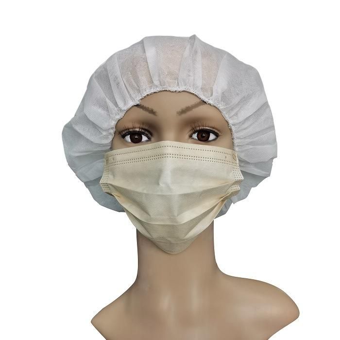 Supplier Electronic Industry Healthcare High Quality Anti-Dust Breathing Protective Isolation Cleanroom Disposable Non-Woven Face Mask Manufacturer