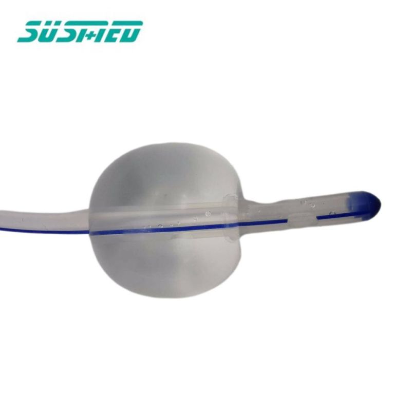Medical Disposable 2-Way Silicone Foley Catheter