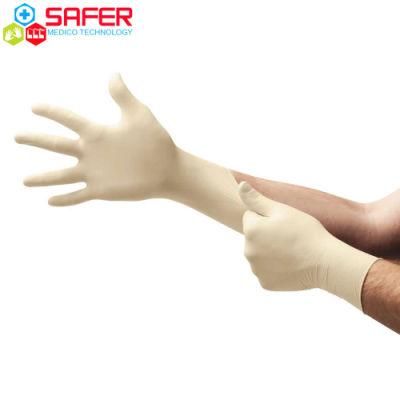 Latex Glove with Powder Free From Malaysia with Good Quality and Cheap Price