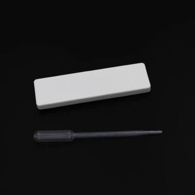 Sample Free Pregnancy Test Urine HCG Pregnancy Test Cassette
