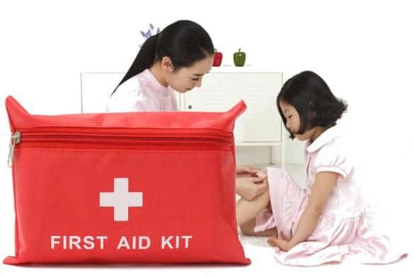 246piece Hard Carry Case Perfect Compact First Aid Medical Kit