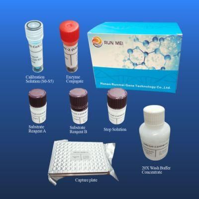 Chlorine Determination Kit (enzymatic method) Elisa Method