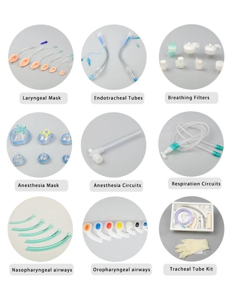 Disposable Medical Consumables Classic Laryngeal Mask Airway PVC