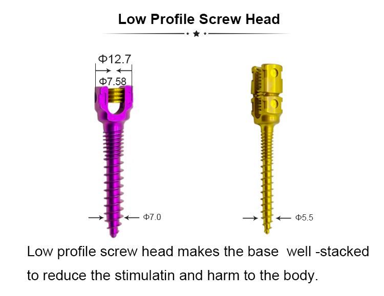 Quality Assured Orthopedic Surgical Implants 5.5mm Monoaxial Pedicle Screw Double Threaded Spine Implant Spinal Pedicle Screw