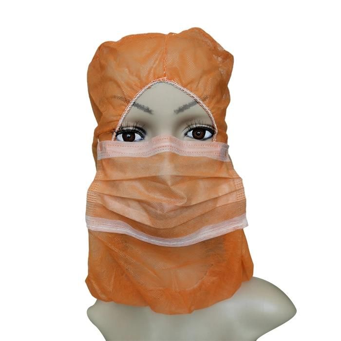 Maker Electronic Industry Dust Proof Food Service Full Face Mask Hairnet Customized Eco Friendly Cleanroom Disposable Balaclava Hood