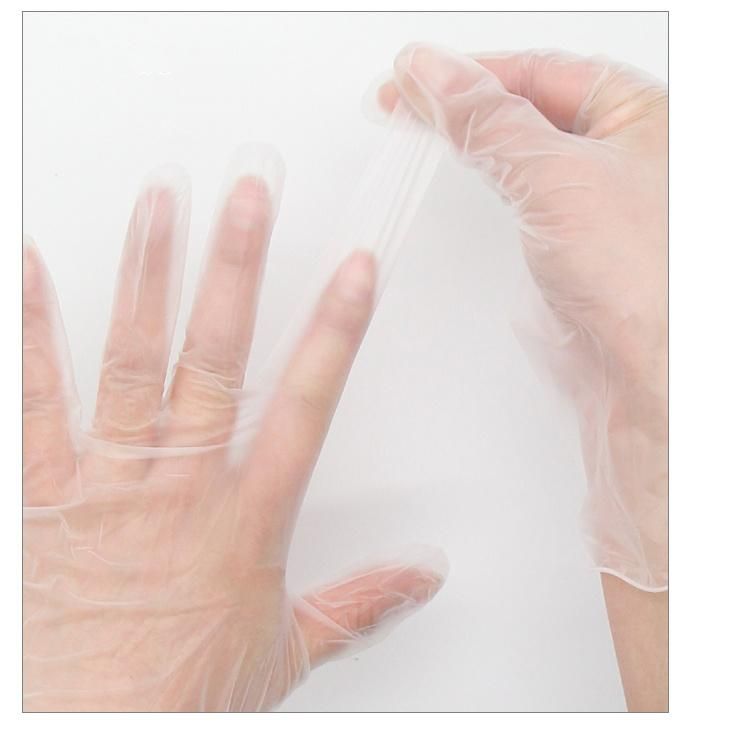 Disposable Powder Free Vinyl Gloves/Medical Disposable/Working Glove