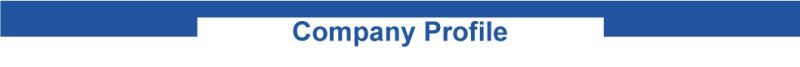 Medical Disposable Safety Sharp Painless High-Quality Insulin Pen Needle for Diabetes Match Insulin Injection Pen, 31g*5mm
