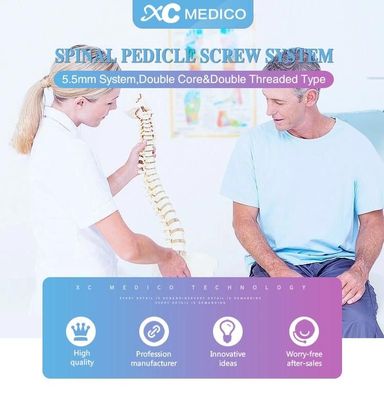 Orthopaedic Spine Implants Spinal System Double Core and Double Thread Pedicle Screw