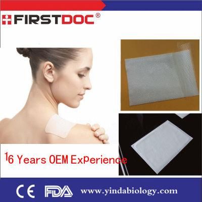 High Quality Japanese Pain Relief Gel Patch, Cold&Hot Patch