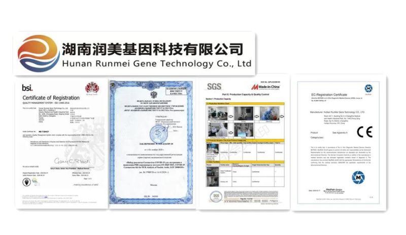 Wholesale Nitrile Medical Gloves Manufacturers