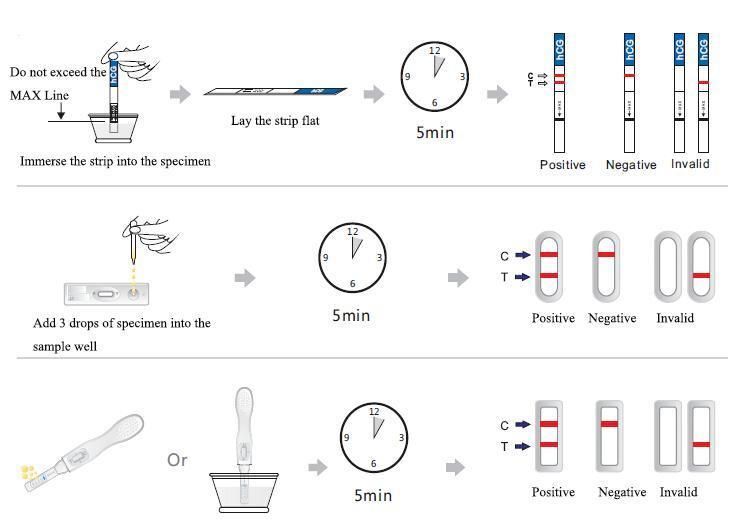 Pregnant Sheep Tests Are Selling Fast, Safe Results with No Side Effects