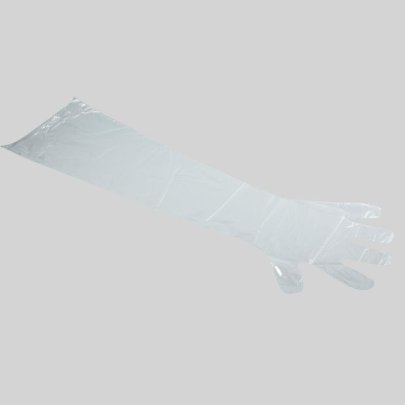 Disposable Medical Sterile Latex Surgical Gloves (Powdered or Powder Free) Used in Hospital